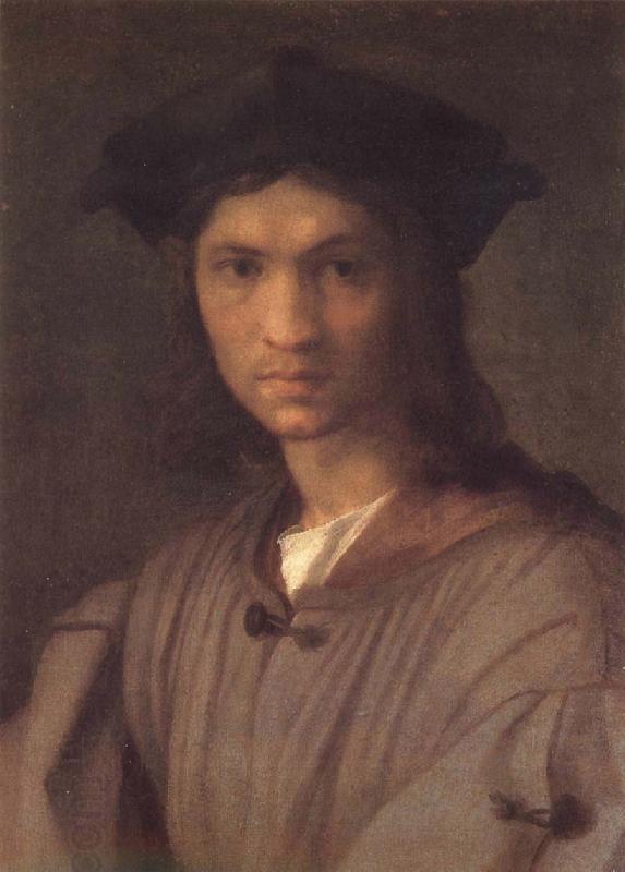 Andrea del Sarto Potrait of man